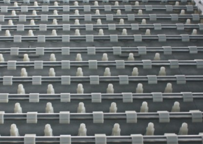 BAF單孔膜曝氣器