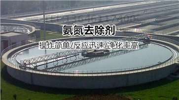 河南氨氮去除劑