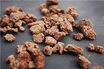 {$Model.Model.Title}