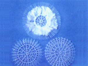 水處理軟性填料